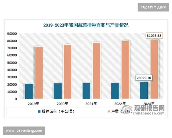 安联作为全球知名赞助商的战略布局与深度分析