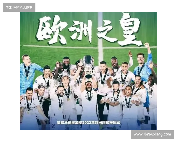 全面解读法甲冠军标志的历史演变与象征意义及其文化影响与解析性